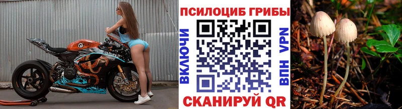 Псилоцибиновые грибы MAGIC MUSHROOMS  купить закладку  Ханты-Мансийск 